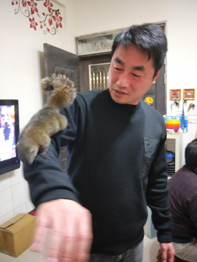 Qg Life 城中館 寵物親子釣魚人民宿 Csincseng Kültér fotó